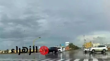 تحذير الأرصاد.. أمطار غزيرة وضباب كثيف يضرب 5 محافظات خلال الساعات المقبلة